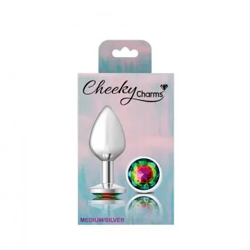 Anal Seductucom Cheeky Charms Round Rainbow Medium Silver Plug