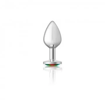 Anal Seductucom Cheeky Charms Round Rainbow Medium Silver Plug