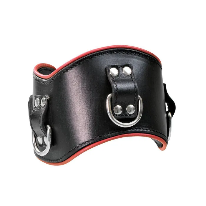 Black Leather 5 Posture Collar Plesur Company Restraints