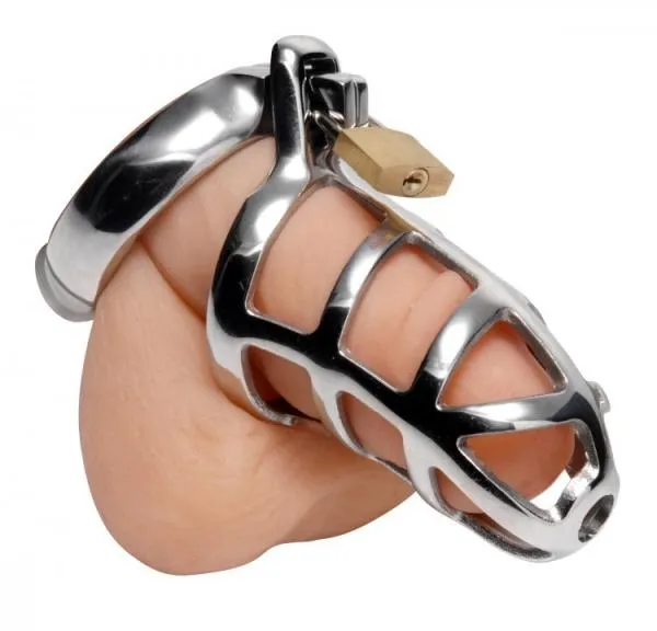 Detained Stainless Steel Chastity Cage Master Series Male Sex Toys