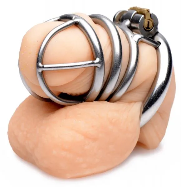 The Pen Deluxe Stainless Steel Locking Chastity Cage Master Series Male Sex Toys