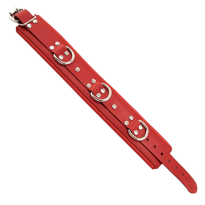 Rouge Garments Vibrators Red Padded Collar