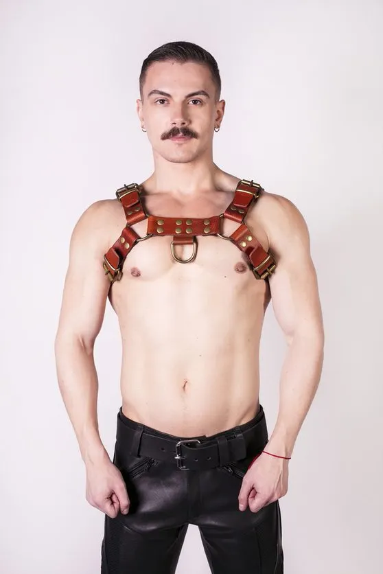 Vibrators Prowler Red Prowler RED Butch Harness Brown Brass XL