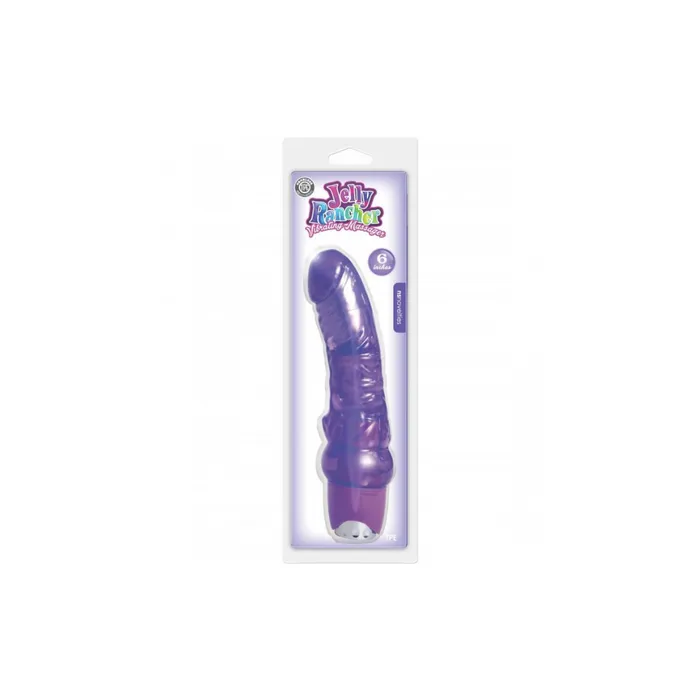 NS NOVELTIES Vibrators Jelly Rancher Purple Vibrating Massager