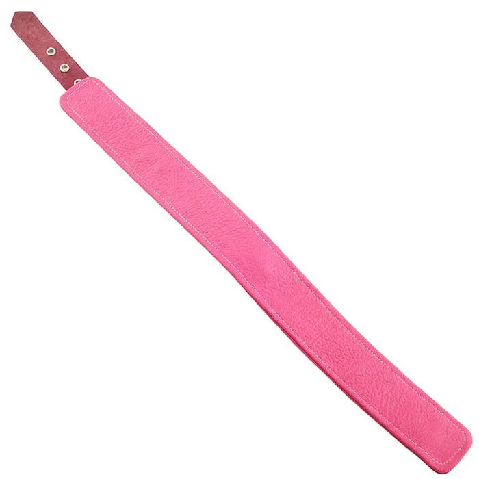 Vibrators Rouge Garments Rouge Garments Plain Pink Leather Collar